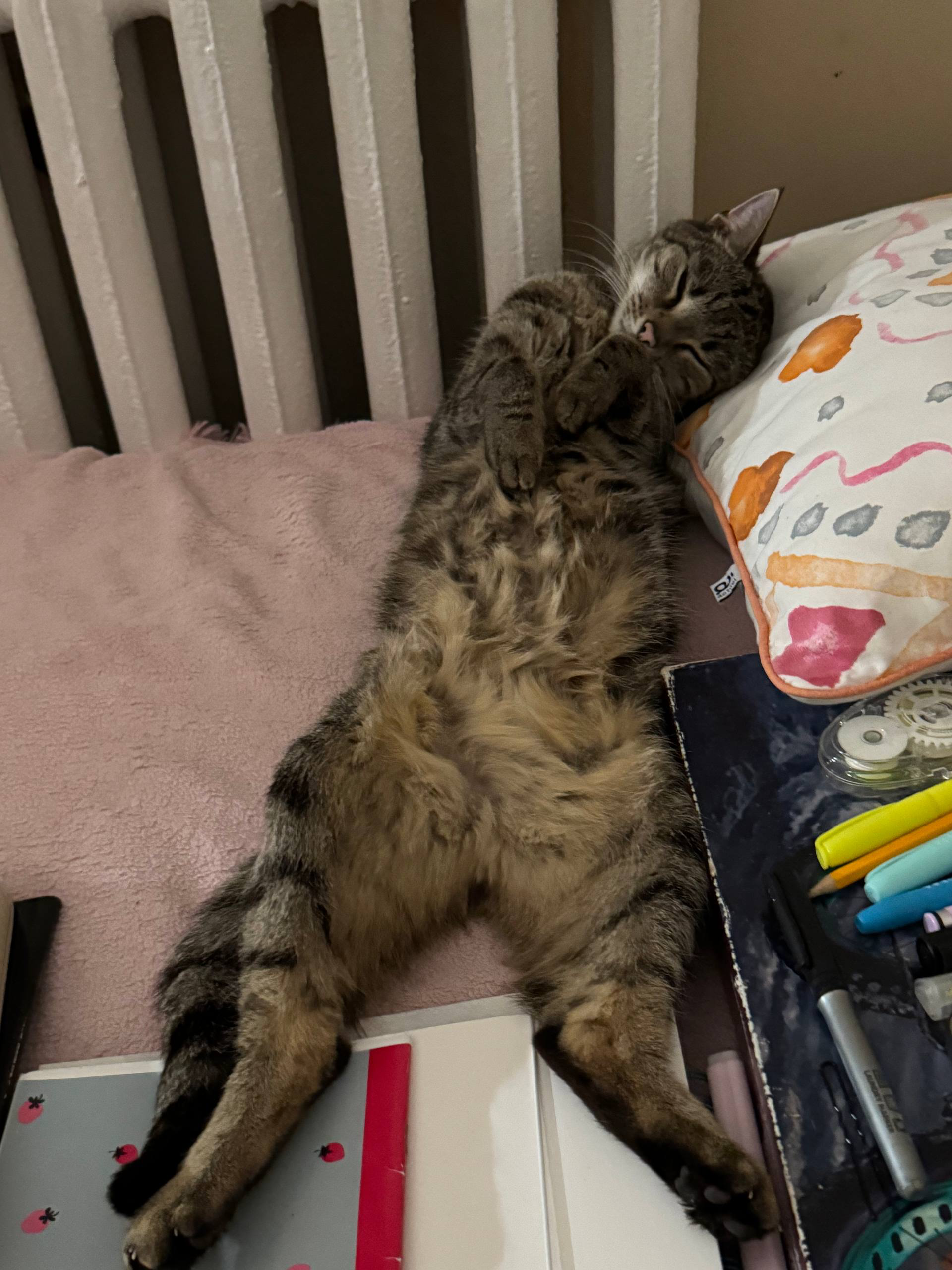 Котуся